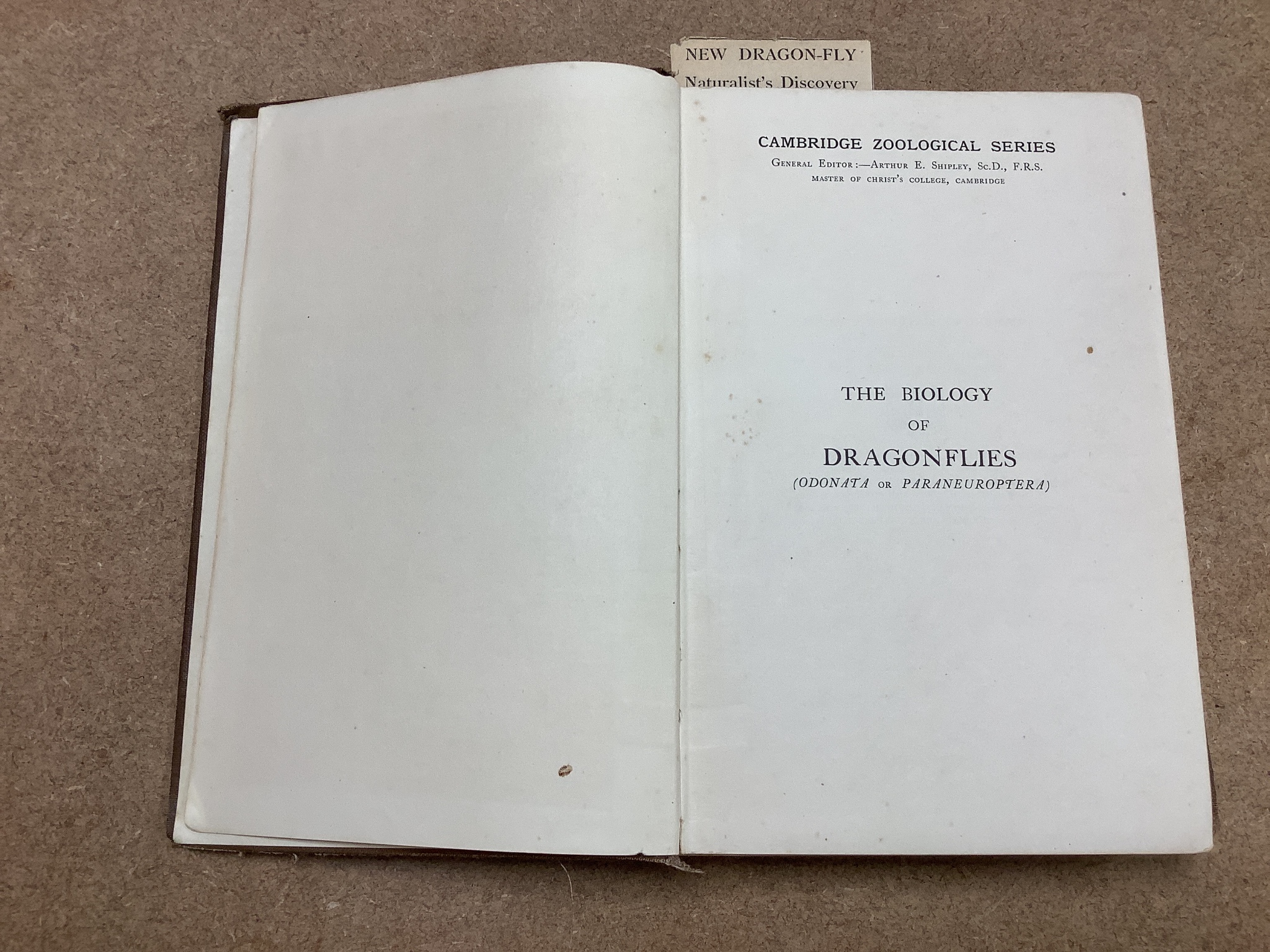 Lucas, William, John - British Dragonflies: (Odonata), 8vo, cloth, L. Upcott Gill, London, 1900 and Tillyard, Robert, John - The Biology of Dragonflies, 8vo, cloth, scuffed, spines bumped, Cambridge University Press, 191